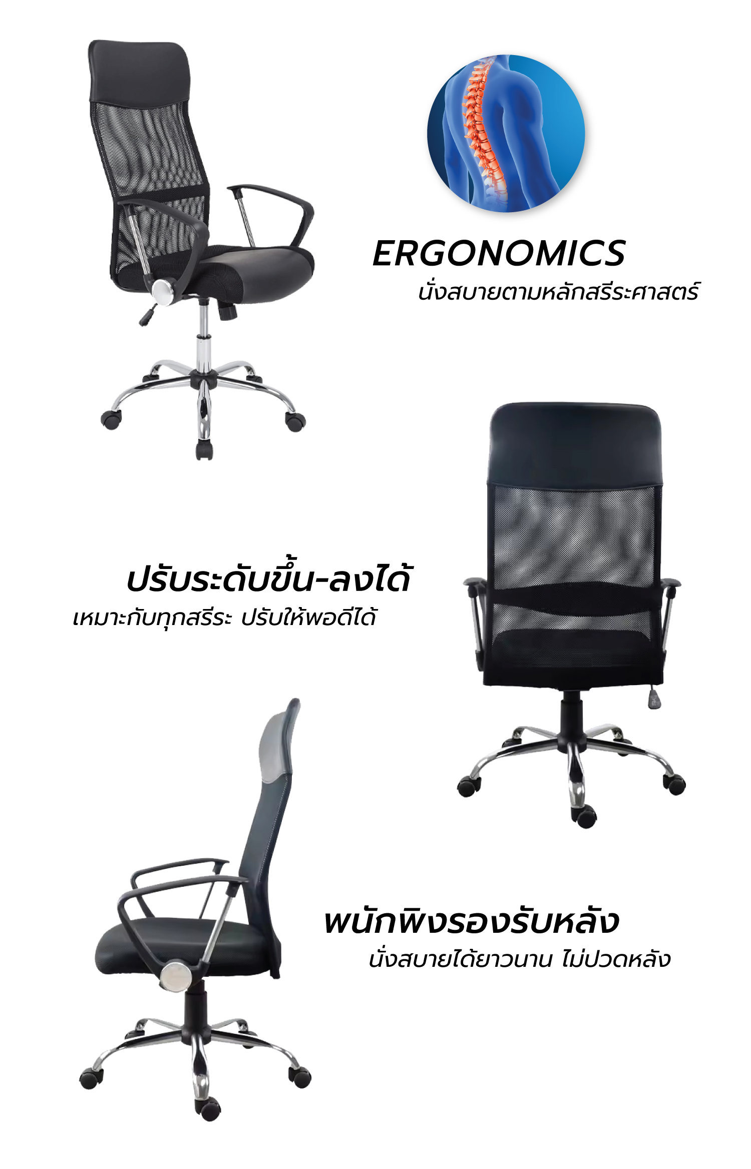 OC01 รายละเอียด 2