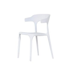 PC02WHITE
