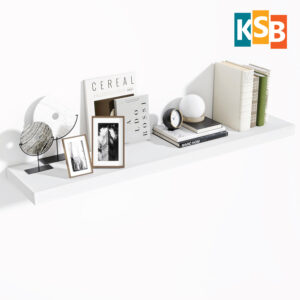 WS01WHITE100x20
